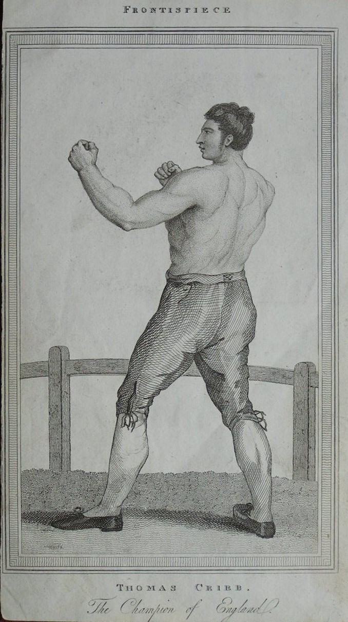 Print - Thomas Cribb. The Champion of England.